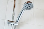die Abbildung zeigt eine Duschbrause: legionellen können über feinste Wassertröpfchen zum Beispiel beim Duschen eingeatmet werden