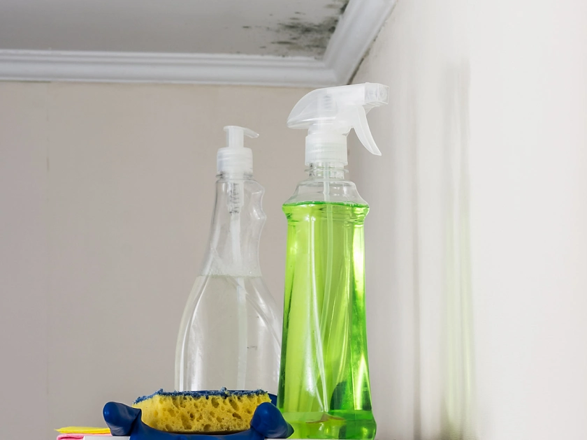 Sprühflaschen, Schwamm und Handschuhe zur Schimmelentfernung im Vordergrund. Im Hintergrund eine Raumdecke mit Schimmelbefall.