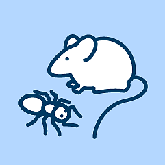 Portrait Pest advice  10:00 a.m. to 12:00 p.m. (Mon-Fri) 